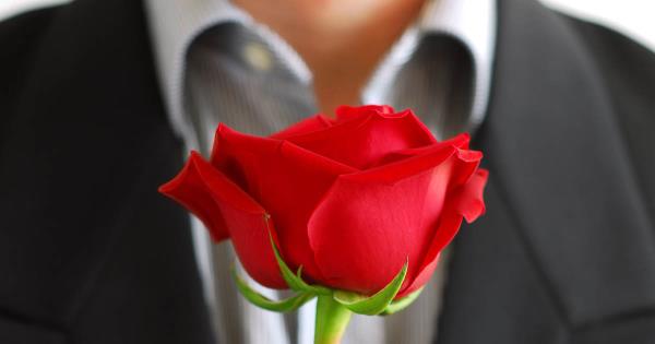 man holding a rose